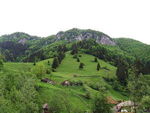 ecologizare piatra craiului 2009
