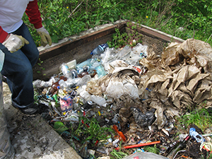 ecologizare piatra craiului 2009