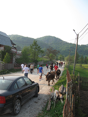 ecologizare piatra craiului 2009