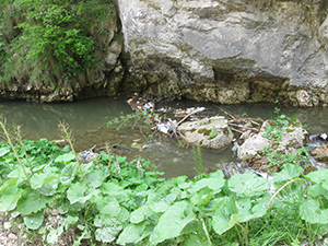 ecologizare piatra craiului 2009
