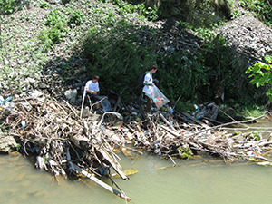 ecologizare piatra craiului 2009