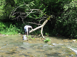 ecologizare piatra craiului 2009