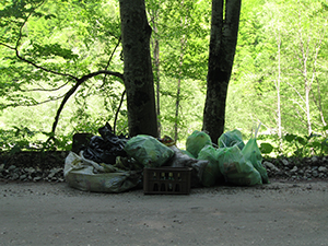 ecologizare piatra craiului 2009