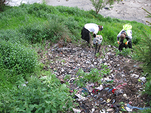 ecologizare piatra craiului 2009