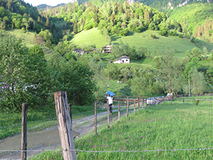 ecologizare piatra craiului 2009