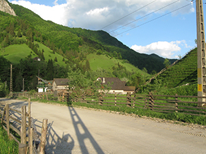 ecologizare piatra craiului 2009