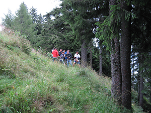 ecologizare sinaia 2009 august ecoassist geo atreides