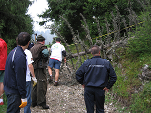 ecologizare sinaia 2009 august ecoassist geo atreides