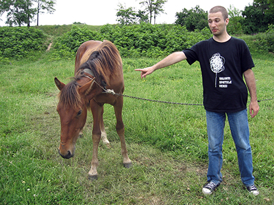 let's bike it vlad dulea geo atreides a doua editie ecologie romania peisaje