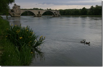 Pont d'Avignon  