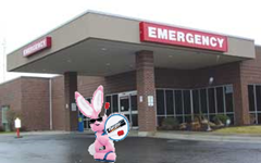 sick_energizer_bunny_at_hospital