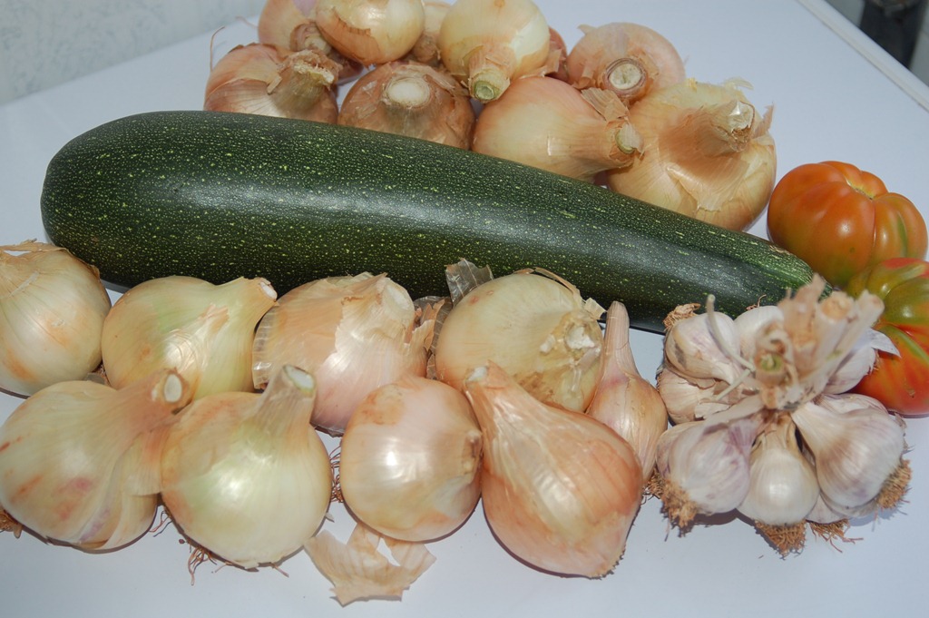 [legumes_pais[4].jpg]