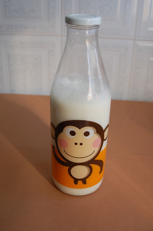 [garrafa_macaco[8].jpg]