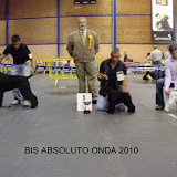 EspecialCastellón 2010