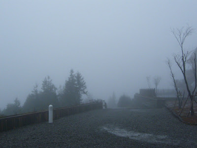 DSCF3158.JPG