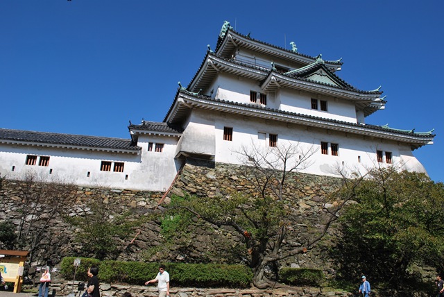 [DSC_0224[3].jpg]