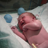 Sarah Catherine Hollins