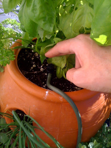 automatic watering Photo-767243