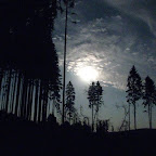 IMG_5539.jpg