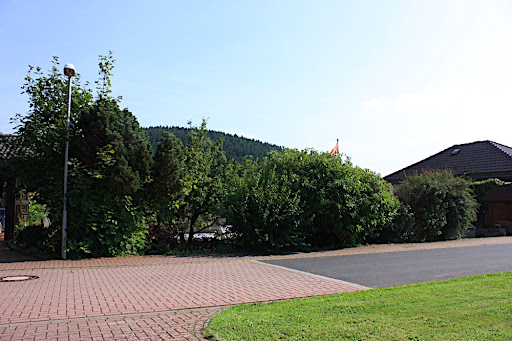 IMG_7707.JPG