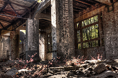 IMG_0964_5_6_tonemapped.jpg