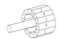 Magnetization pattern of permanent-magnet step-motor rotor.