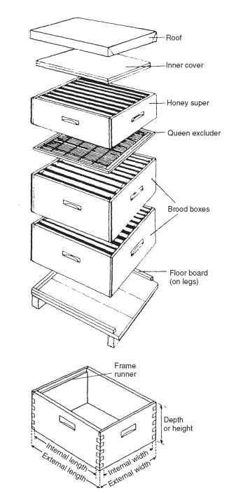 Top: exploded view of a movable-frame hive showing the component parts. Bottom: empty hive box showing one of the frame runners. 