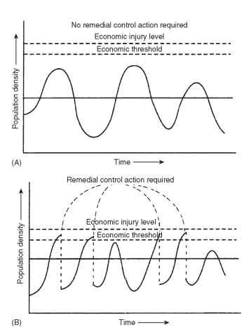 Graphs depicting theoretical population fluctuations of two insect pest species.
