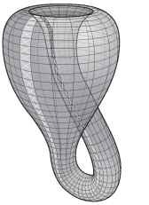 A Klein bottle has no boundary (edge).