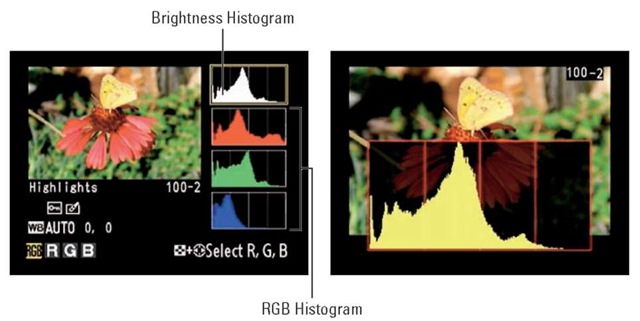 Histogram mode presents exposure and color information in chart-like fashion.