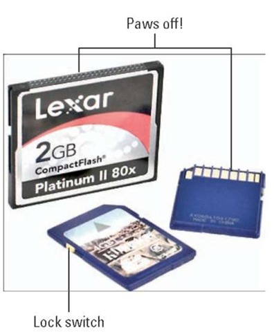 Your camera can use SD and CompactFlash cards.