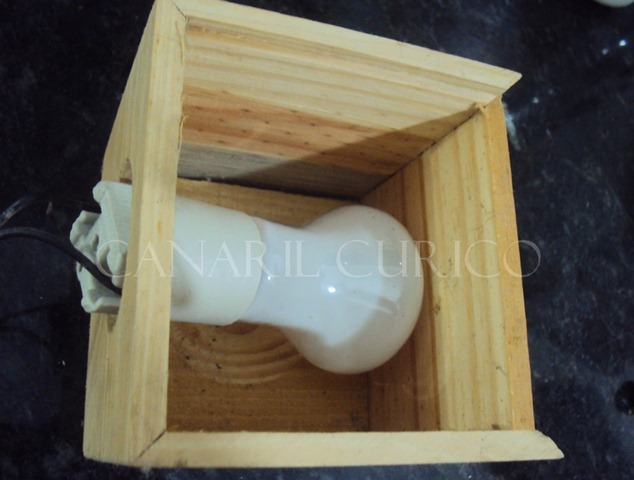 [Ovoscópio 3[2].jpg]