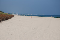 DSC_7754.JPG Photo