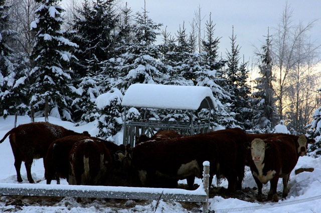 [January201001223.jpg]