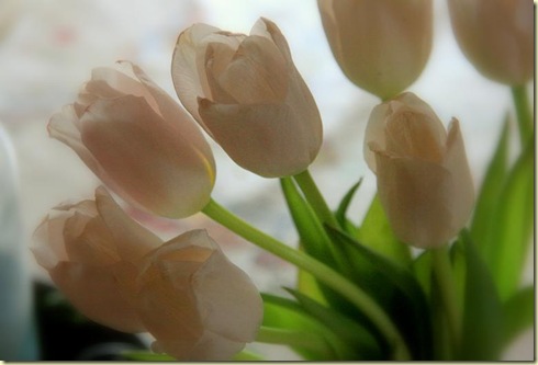 February2010 002-2