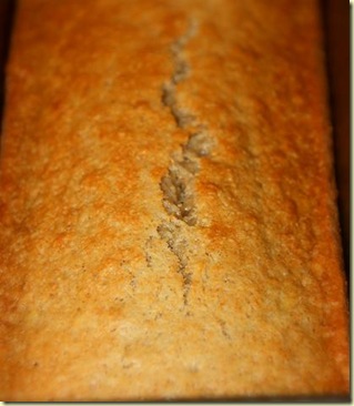 Mars2010 039-2