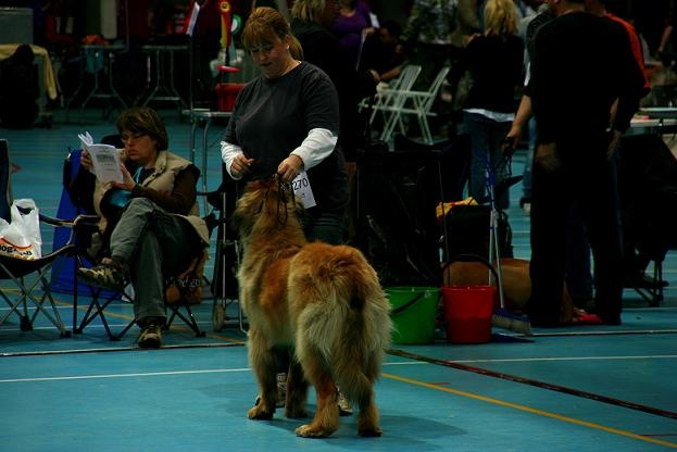 [stange26.04.09 008-2[3].jpg]