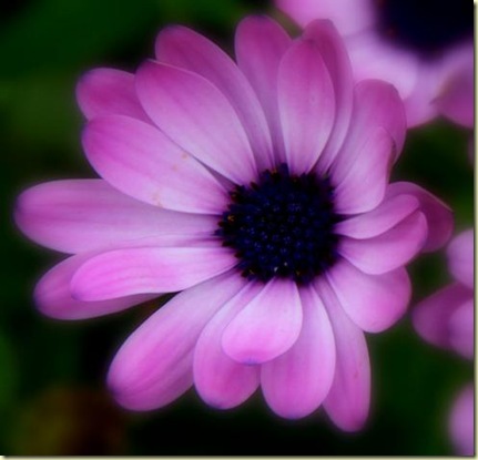 september09 019-3