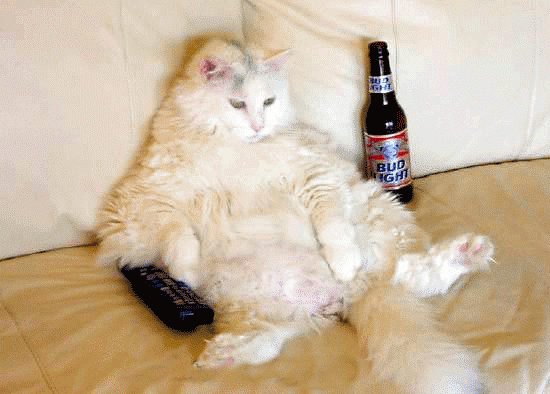 [funny_1512[3].gif]