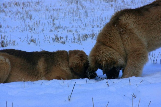 [December2009 005-2[3].jpg]