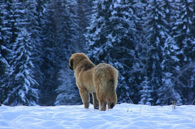 [December2009 023-2[3].jpg]