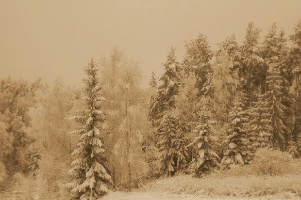 [December2009 015-2[3].jpg]