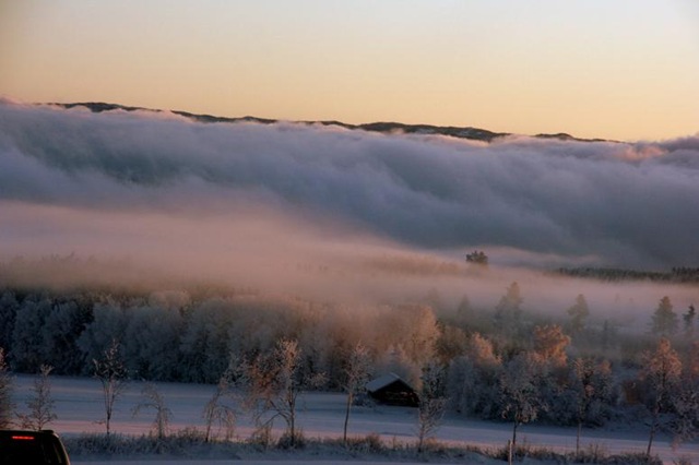 [December200911033.jpg]