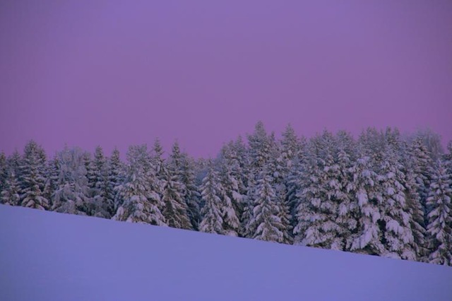 [December200912923.jpg]