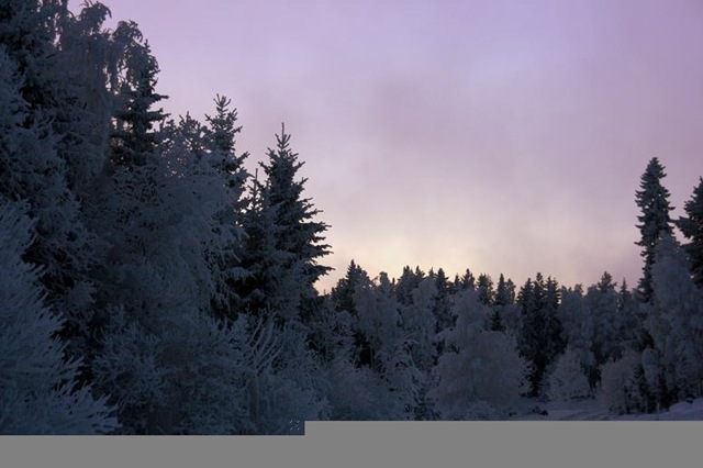 [December200916023.jpg]