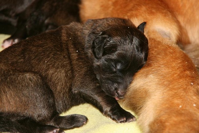[Birdys babies 2010 046-2[3].jpg]
