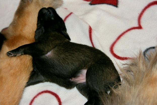 [Birdys babies 2010 008-2[3].jpg]
