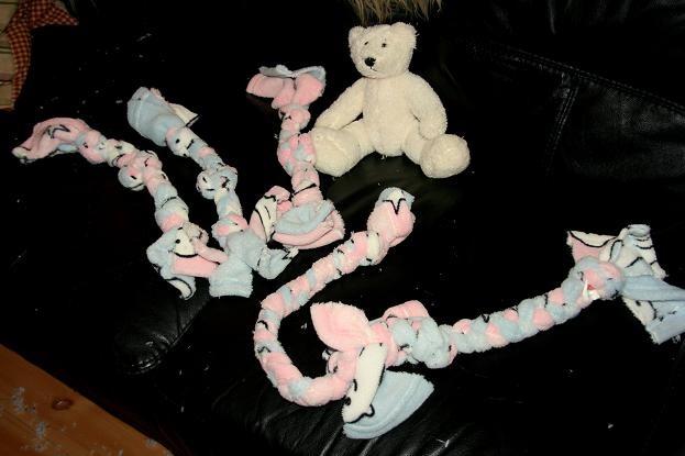 [Birdys babies 2010 007-2[3].jpg]