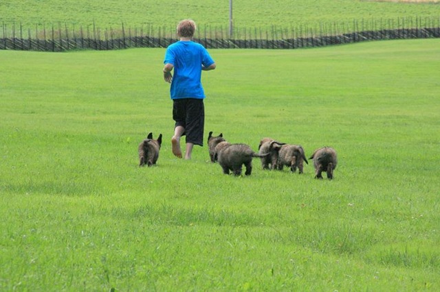 [Birdys babies 2010 045-2[3].jpg]