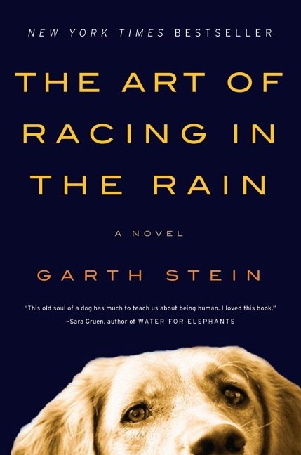 [art-of-racing-in-the-rain[3].jpg]
